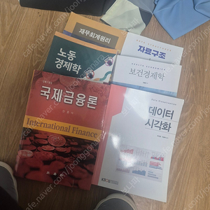 방통대 자료구조/재무회계원리/노동경제학/보건경제학/데이터시각화/국제금융론