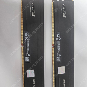 마이크론 Crucial DDR5-5600 CL46 PRO 패키지 대원씨티에스 (64GB(32Gx2))