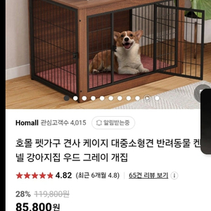 강아지케이지