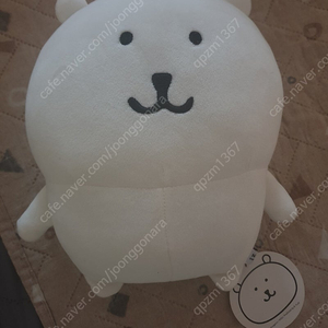 비플랏 농담곰 초기 기본곰(택o)