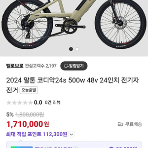 코디악24s