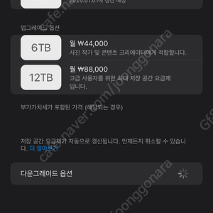 iCloud 333GB 월2500원