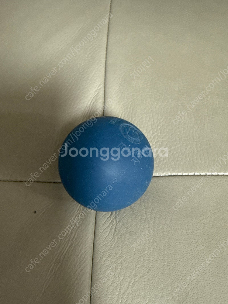 지산스키장 전일권 대인 1매 팝니다--0