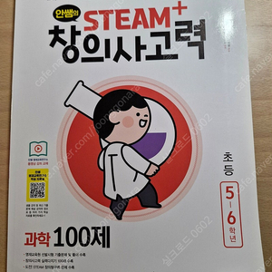 안쌤의 초등 STEAM+ 창의사고력 과학100제