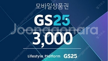 gs25 3000원 (내년 ~2/10)2500원--0
