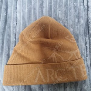 아크테릭스 비니 bird word toque