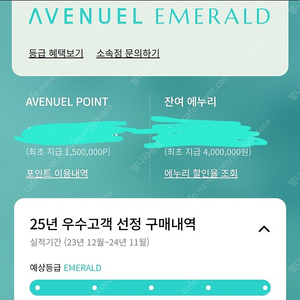 25년 롯데백화점 전점 에메랄드 무료발렛권