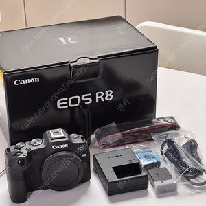 cannon eos r8 풀프레임