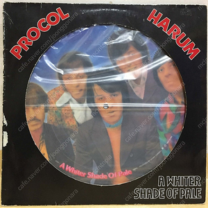 LP ; procol harum - a whiter shade of pale 프로콜 하룸 엘피 음반 락 픽쳐디스크 rock