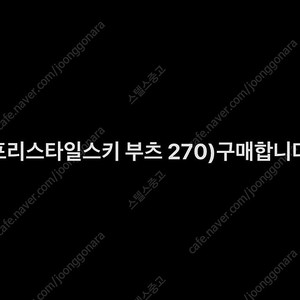 프리스키 (프리스타일스키,뉴스쿨스키) 부츠 구매합니다 270사이즈