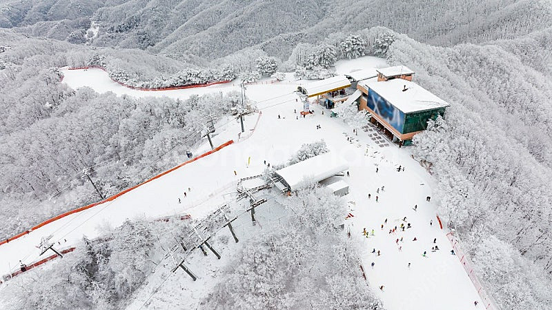 ** 연말/설연휴 1/25,26,27,28,29일~ 전...--0