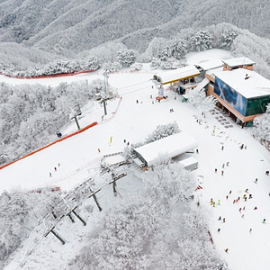 ** 연말/설연휴 1/25,26,27,28,29일~ 전국스키장 객실예약