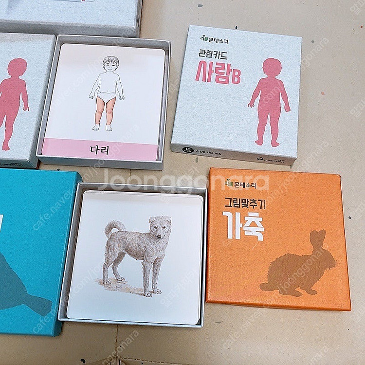 한국몬테소리 리틀 몬테소리--1