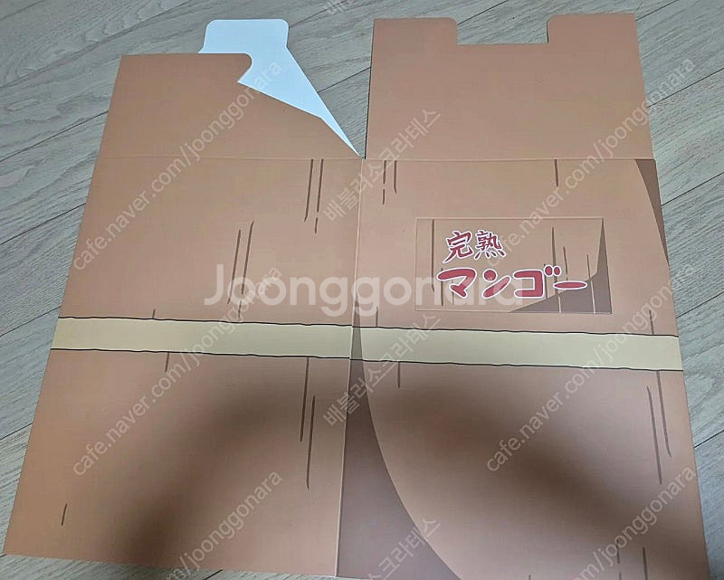 봇치더락 봇치더록 결속밴드 망고박스/포토카드/응원깃발/...--6