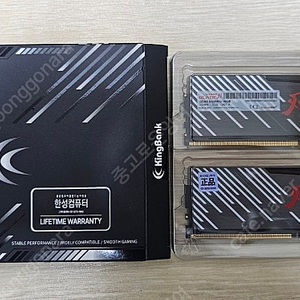 (라이프 워런티)킹뱅크 ddr5 6400mhz 32기가 램 xrp expo