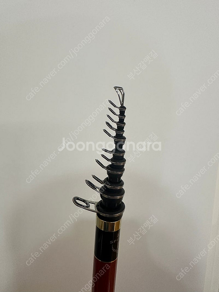 치누경기4 06-53--1
