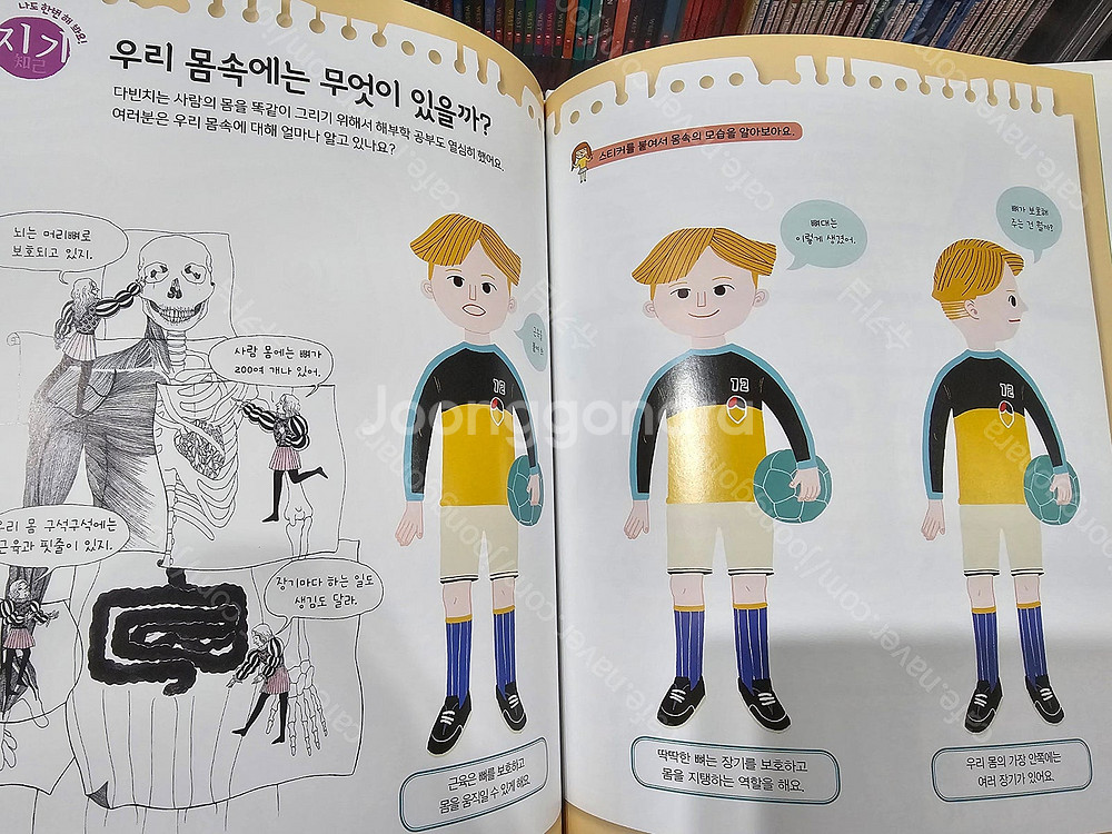 그레이트북스 신지인지기70권 +부록미사용 (평촌 직거래...--2