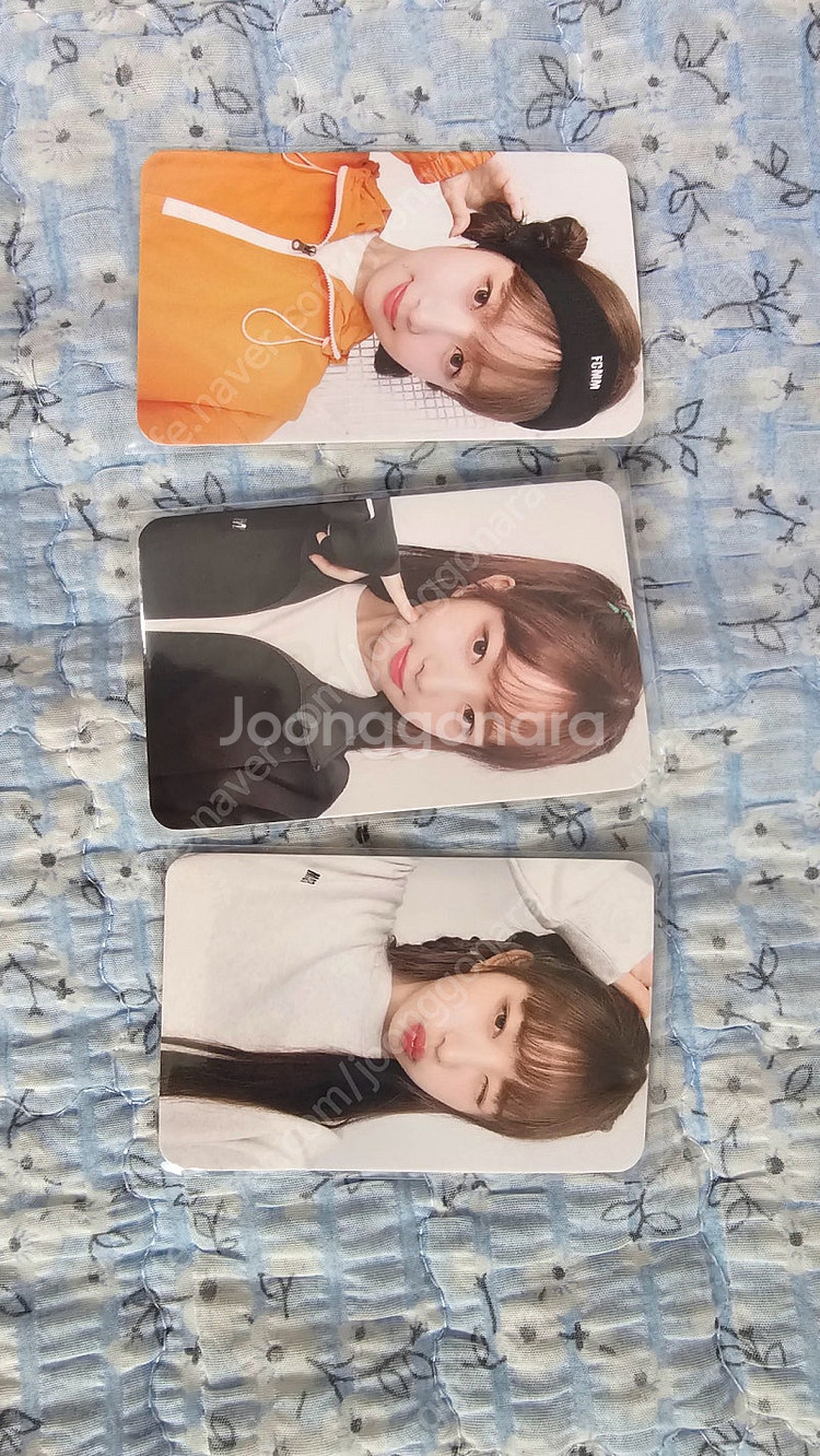 아이브 레이 fcmm 포카--1