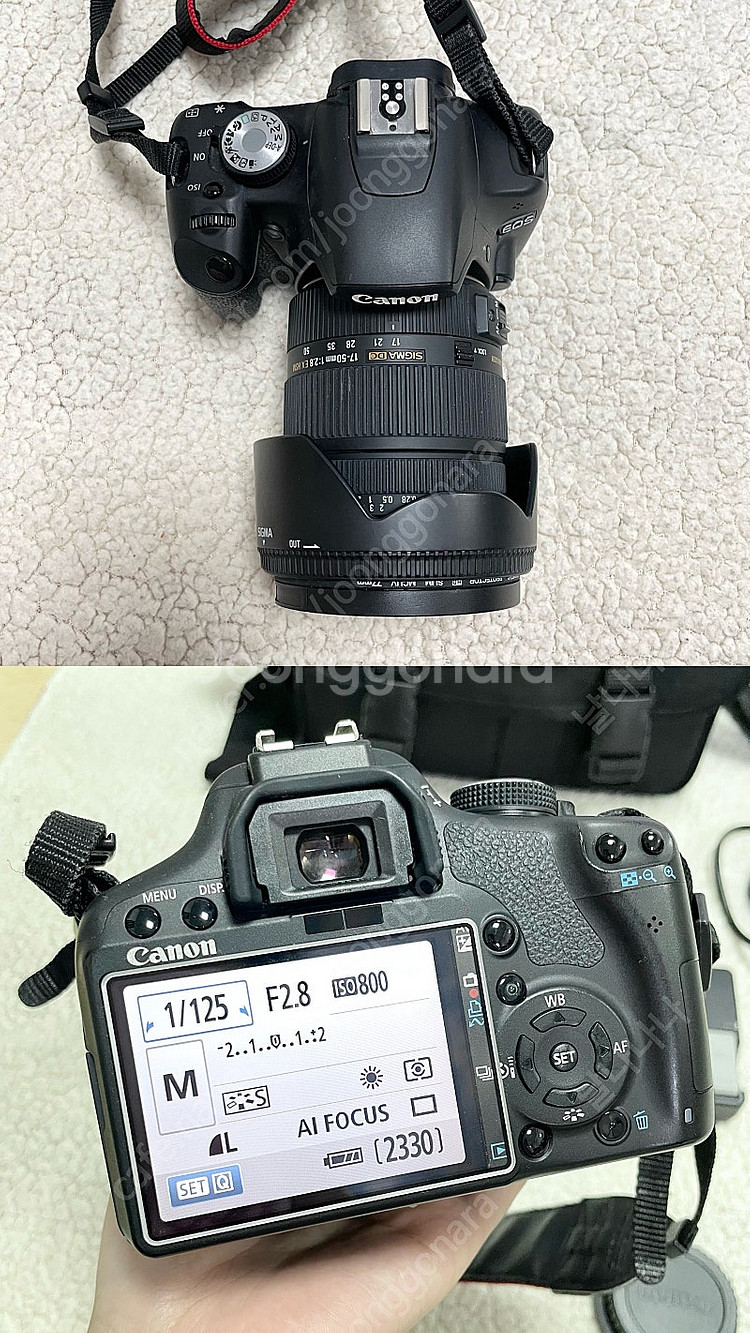 *가격인하* 캐논:EOS 500D/시그마17-50/입문--4