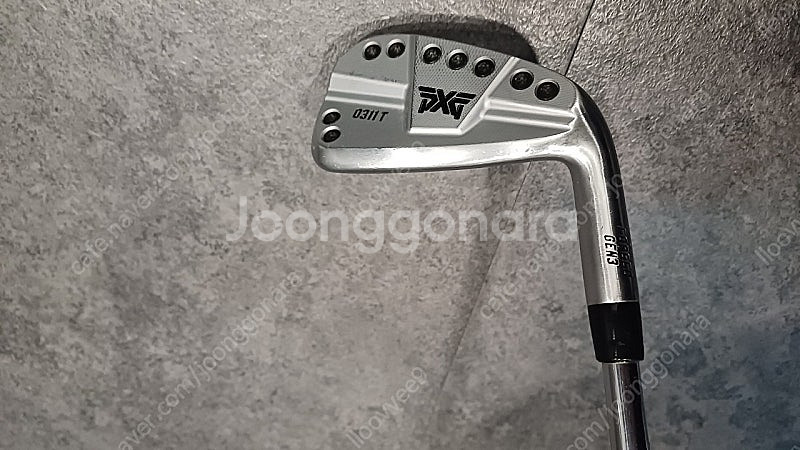 pxg 0311t 다골 s300--3