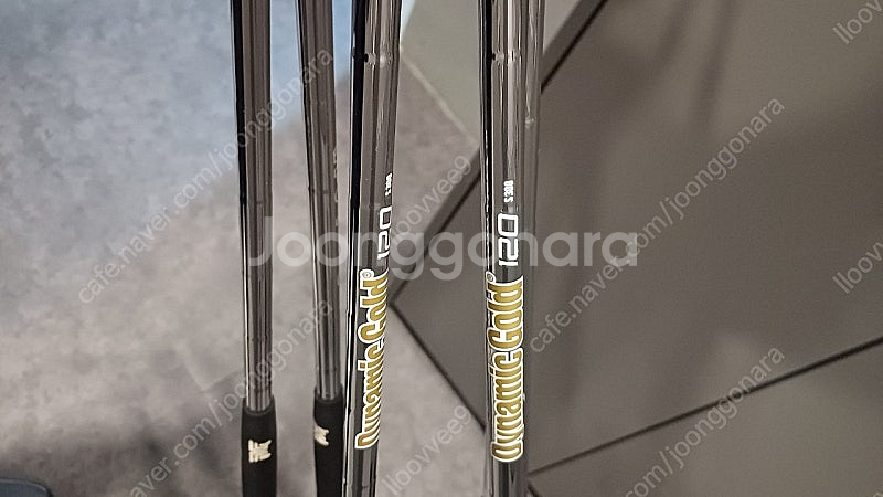 pxg 0311t 다골 s300--6