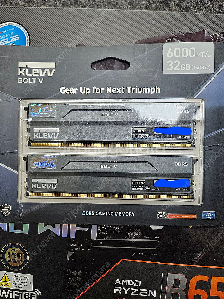 클레브 bolt v ddr5 6000 cl30 16gb...--0