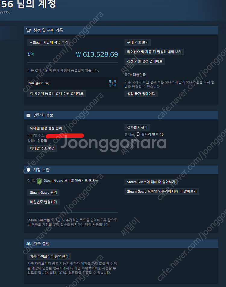 스팀 선물식 80% 판매--0