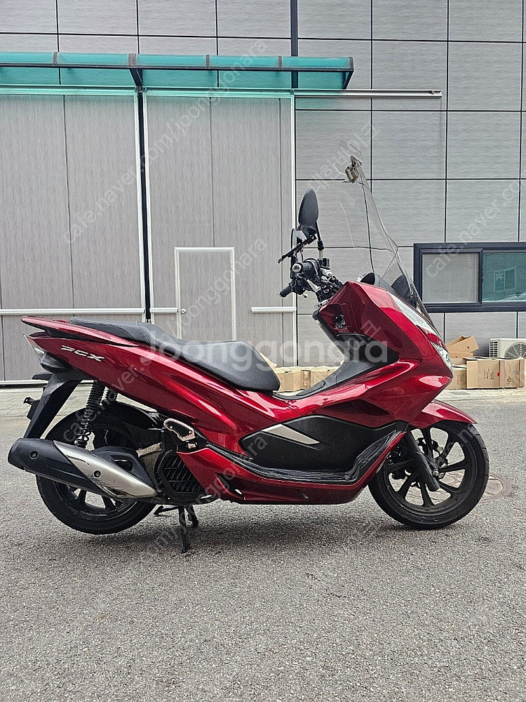 [점검완료]혼다 PCX125 19년식 소모품올교환 가성...--7