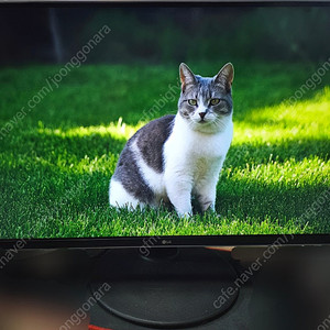 LG 27인치 4K (UHD) 해상도 모니터 27UD88 팝니다 피벗(회전)