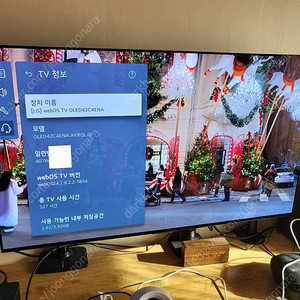 42c4 ena 스탠드 모델 판매 4k oled tv 모니터