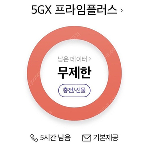 sk데이터 2기가 판매