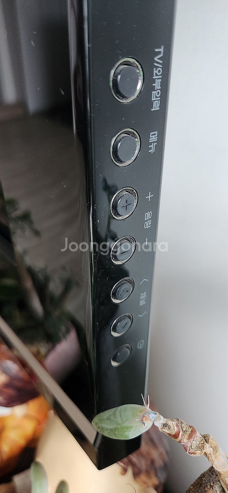 삼성 파브 42인치 42C9--1