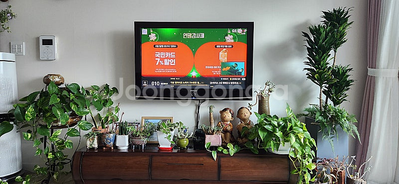 삼성 파브 42인치 42C9--4