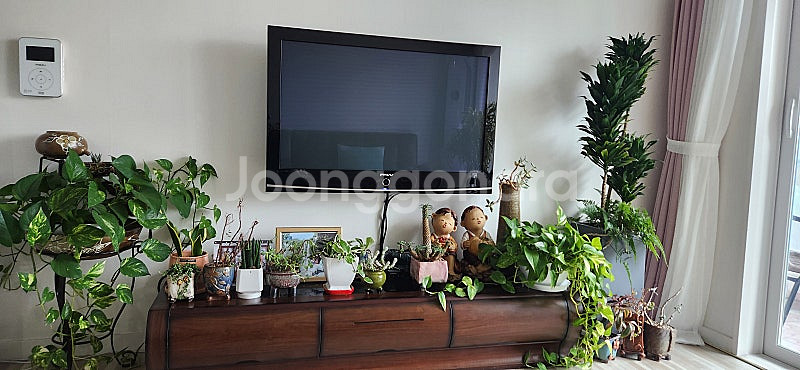 삼성 파브 42인치 42C9--5