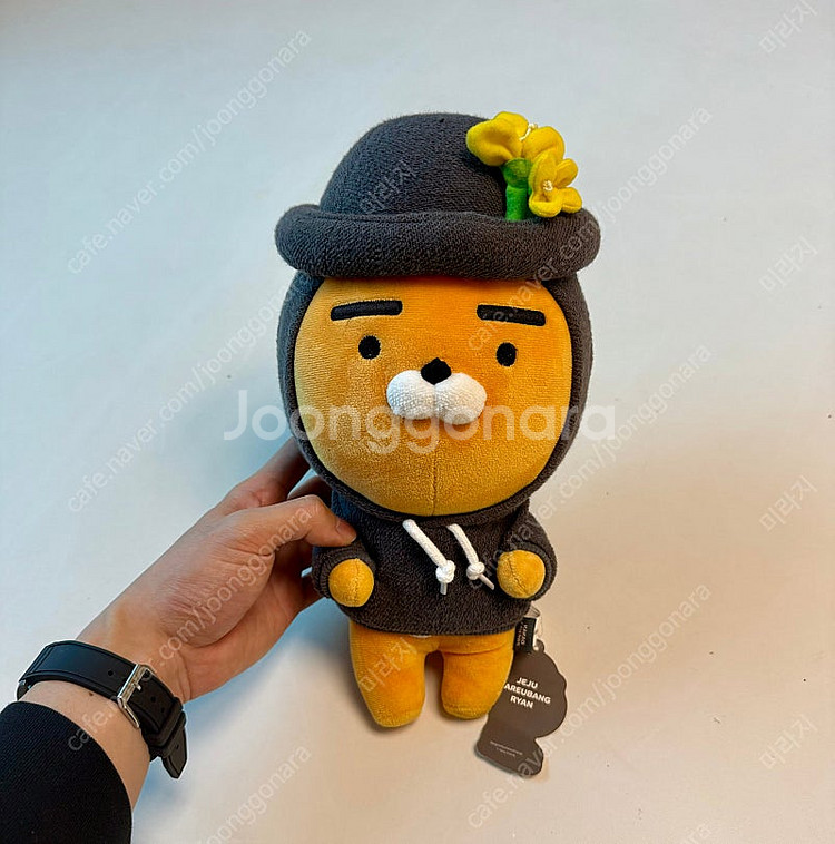 카카오프렌즈 제주 하르방 라이언 인형--0
