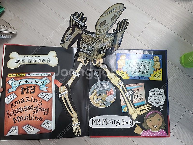 my pop-up body book 팝업북 원서--4