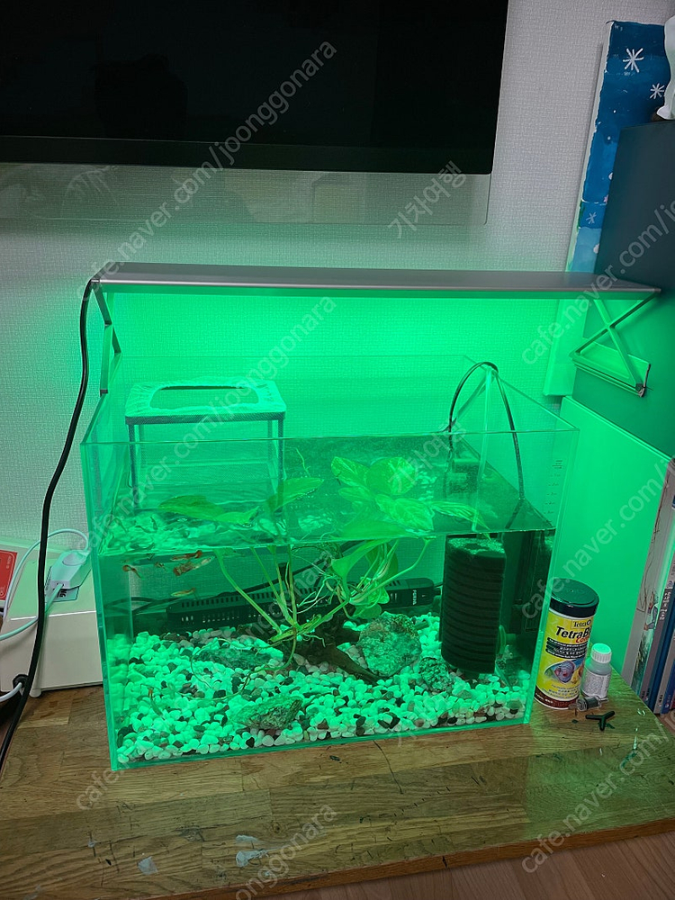 메탈라이트X 600 어항조명--2