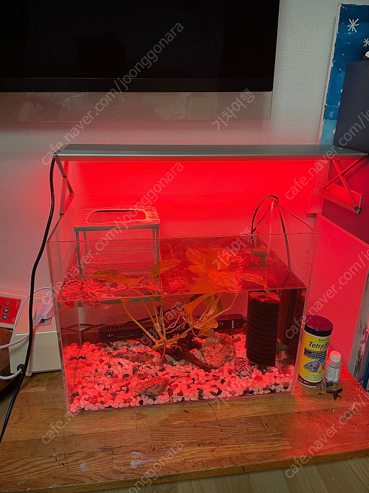 메탈라이트X 600 어항조명--3