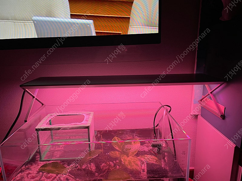 메탈라이트X 600 어항조명--4