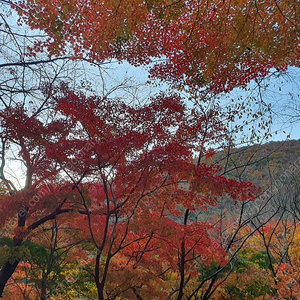 쿠팡 기프트 삽니다 (90%),(선 만받음)(500만까지 가능)