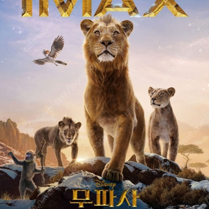 CGV 아이맥스 IMAX 포디엑스 4DX 스크린엑스 SCREENX 스위트박스 SWEETBOX 커플석 롯데시네마 메가박스 돌비 / 무파사 라이온킹 모아나 위키드 소방관 하얼빈 짱구