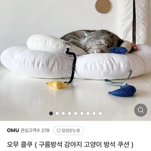 오무 omu 클쿠 클라우드 강아지 고양이 쿠션