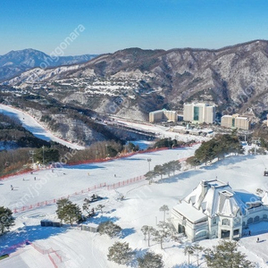 [크리스마스] 홍천비발디 스키장 조식3인 포함 가실분~