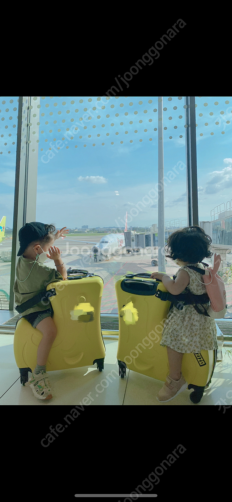 지아지조 캐리어 L--1