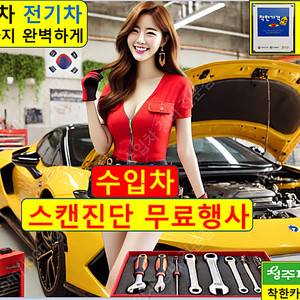 청주 인젝터클리닝 10만원 DPF 흡기 BMW, 320I, 320D, 520I, 520D, 530I, 640D, 620D, 740I, 740D, 750LI, 벤츠, E300, E2