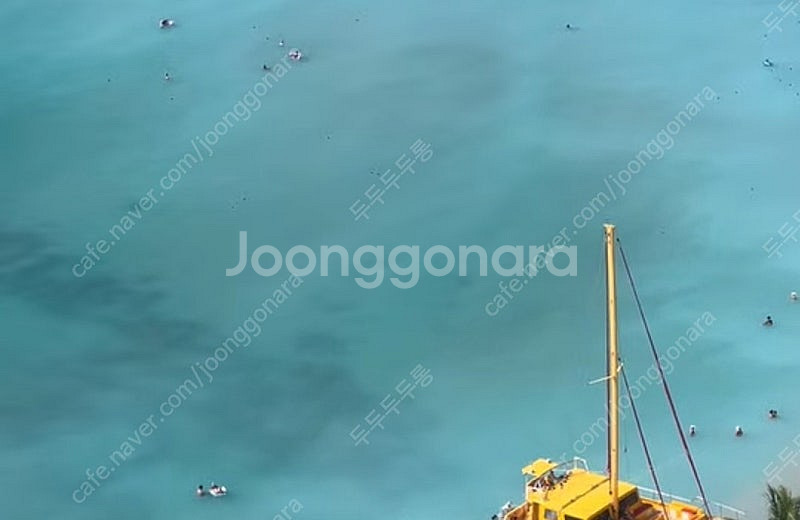 할레코아 주차권--0