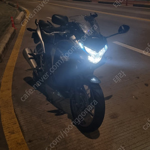 cbr250r abs 판매