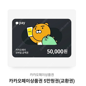 카카오페이 5만원 상품권