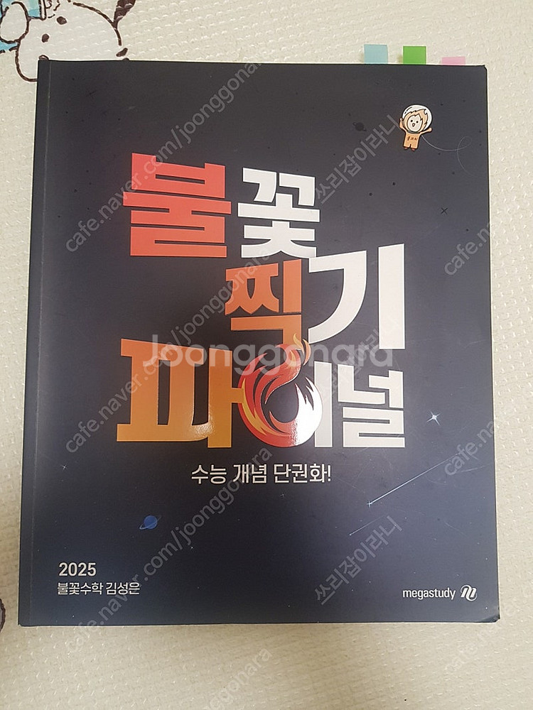 불찍파 메가스터디 김성은 2025 불꽃 찍기 파이널 수...--0