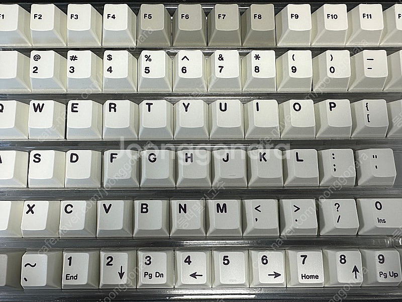 일당오 바이올렛 얼럿 키캡(샤인스루 포함)--0